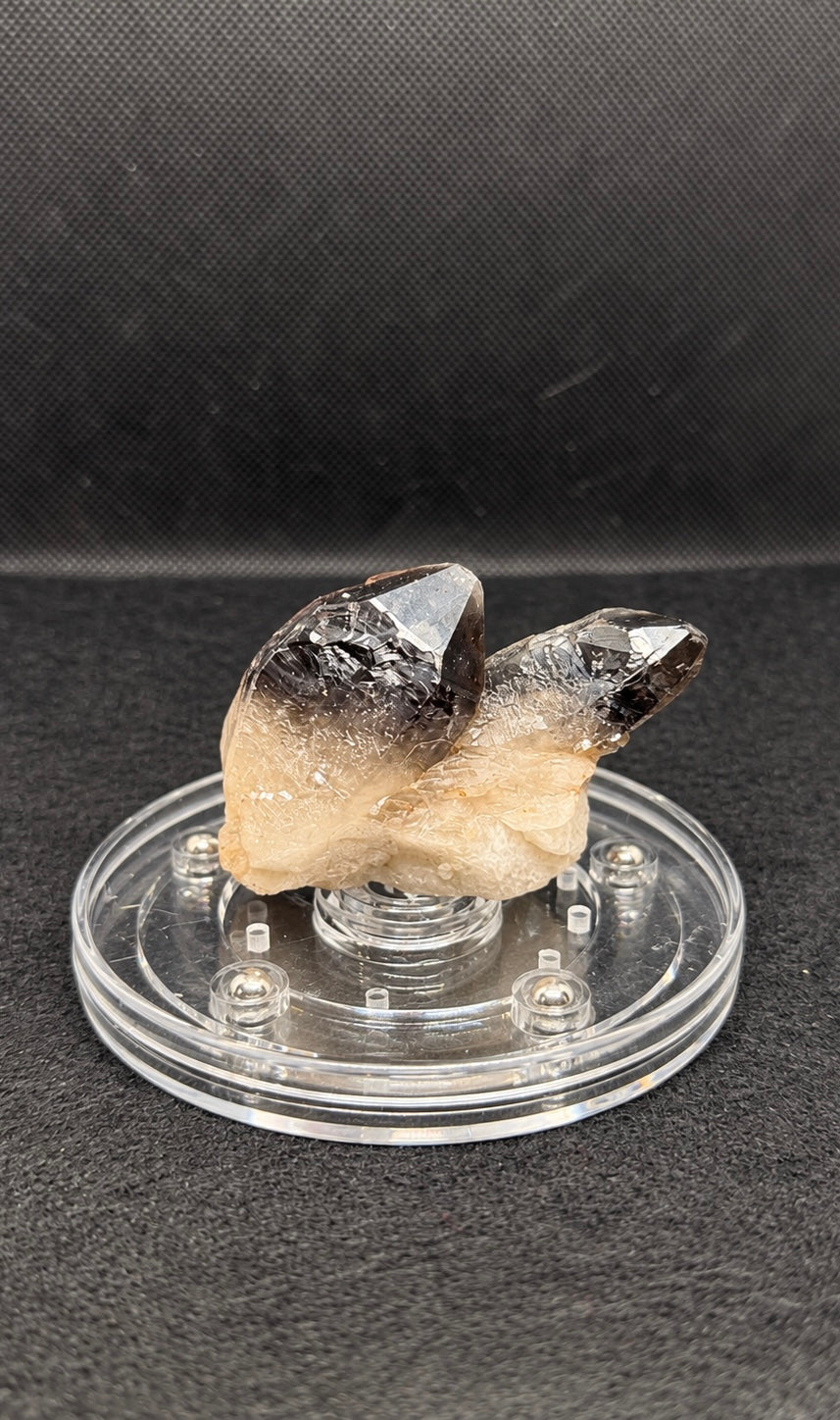 Twilight Veil Smoky Quartz Cluster