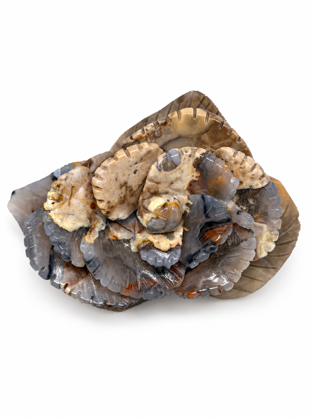 Extra Large Football Agate Flower