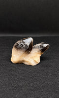 Twilight Veil Smoky Quartz Cluster