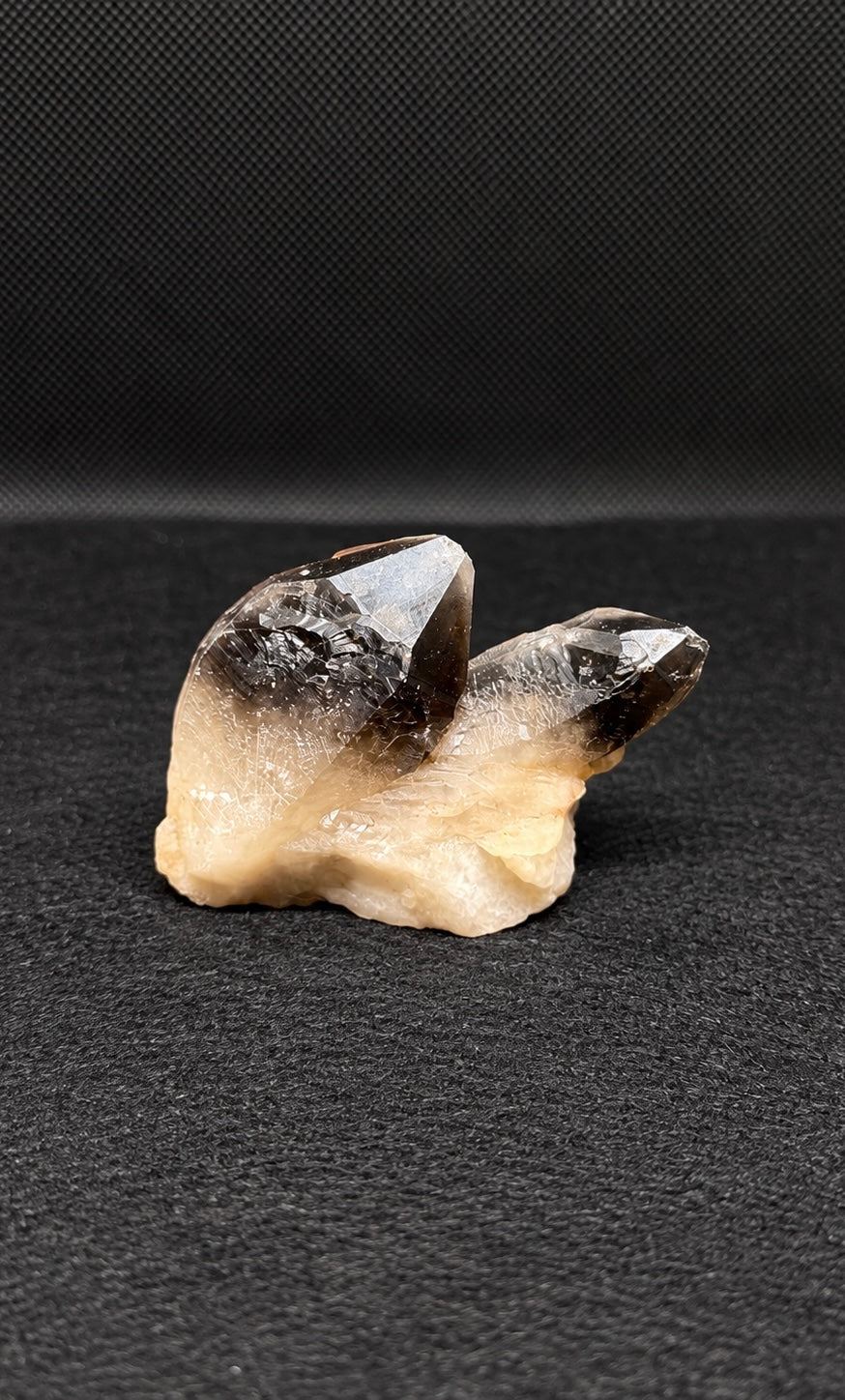 Twilight Veil Smoky Quartz Cluster