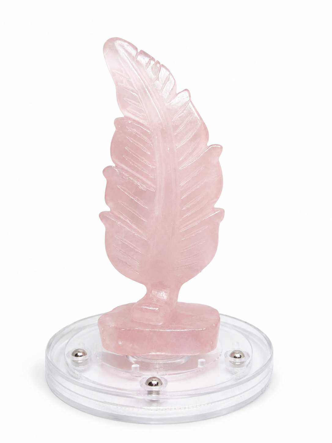 Feather Carvings